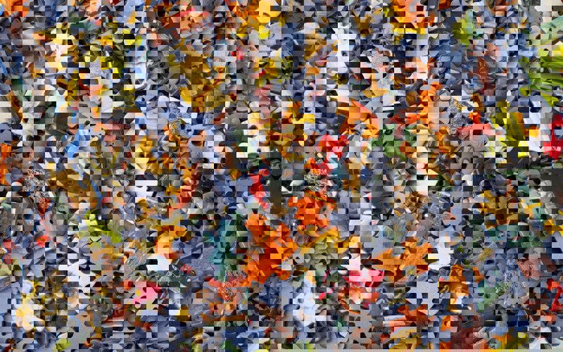 Photo of jigsaw puzzle pieces
