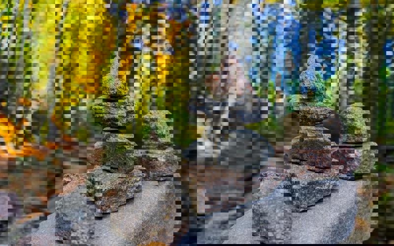 Stacks of stones in the foreground, with a woodland background