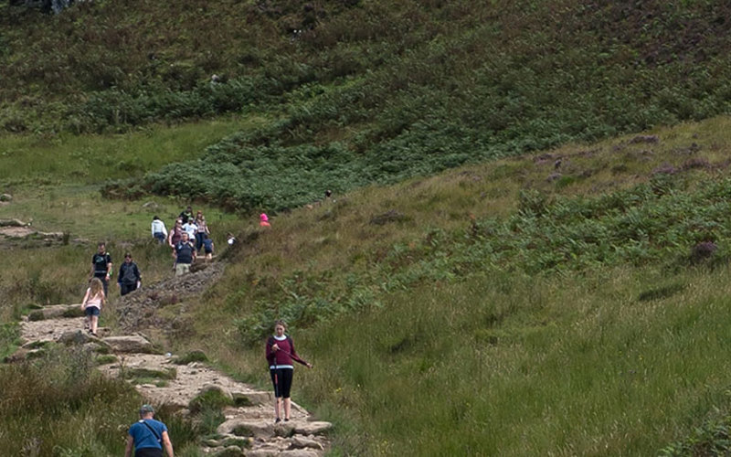 People walking up a path leading around and up a green hill under a blue sky.